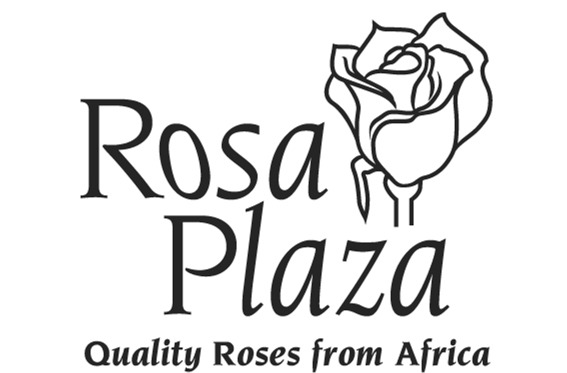 Rosa Plaza