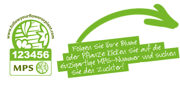 Klicken Sie hier für ein Beispiel